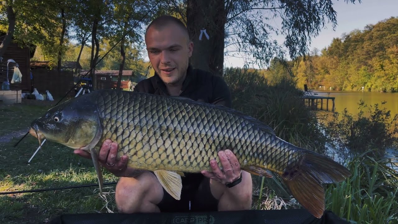 Осінній Карпфішинг 