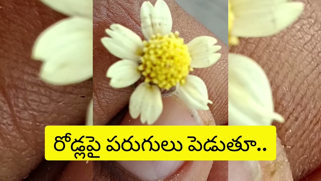 Bg ని చూసినా ar అసలు ఏం జరగబోతుంది..@telugureviews-x1p 