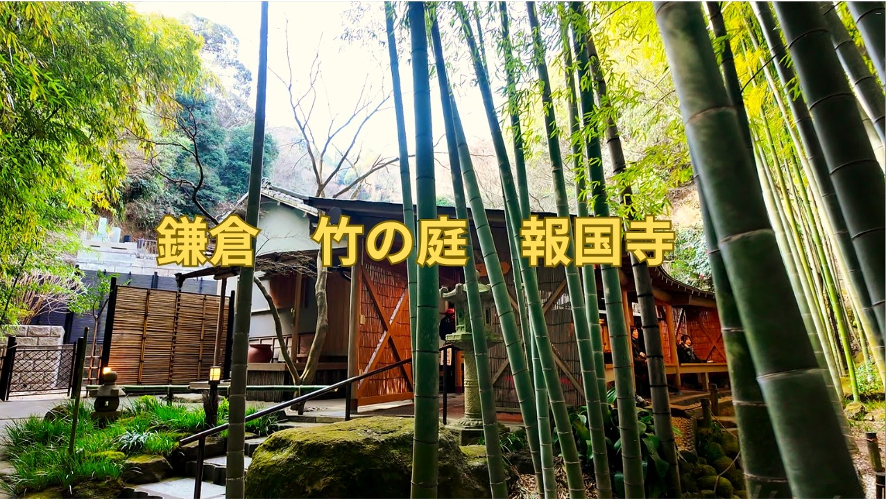 鎌倉 竹の庭 報国寺