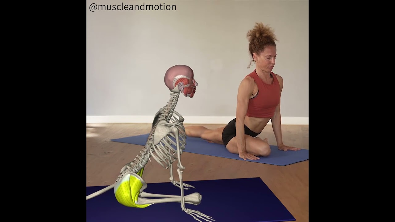 PIGEON POSE (Pada Kapotasana)📣