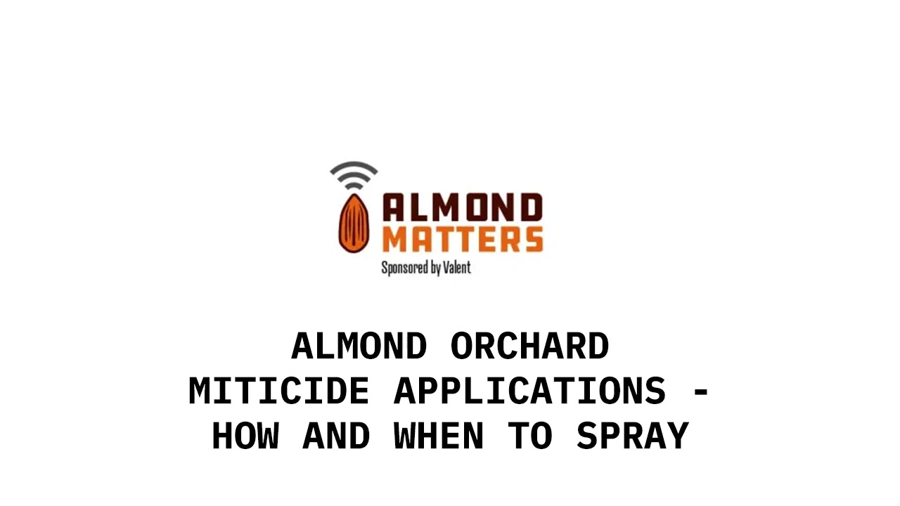Almond Orchard Miticide Applications &ndash; How and When to Spray