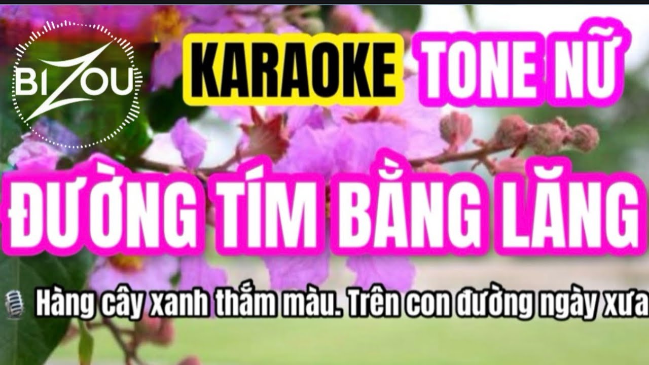 ĐƯỜNG TÍM BẰNG LĂNG KARAOKE Tone NỮ Phối Mới Theo phong cách Như Quỳnh Quỳnh Trang Phương Anh HDK