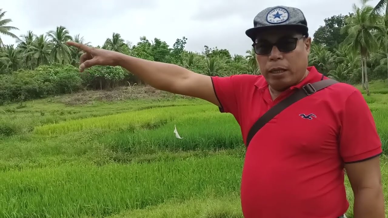 FOR SALE NA LUPA SA QUEZON
