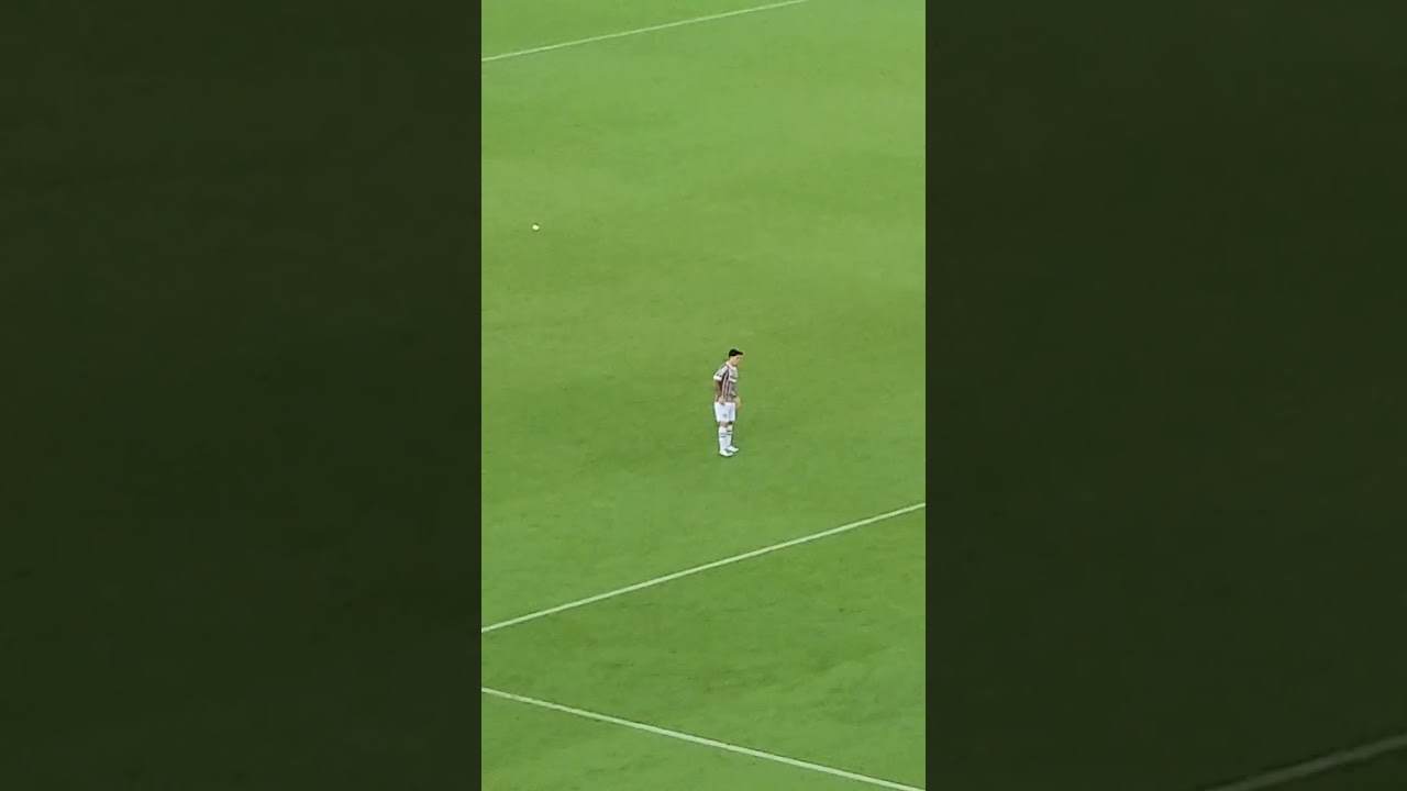 INCR&Iacute;VEL! GOL DE GERMAN CANO VISTO DA ARQUIBANCADA NA SUL-AMERICANA  #fluminense #futebol