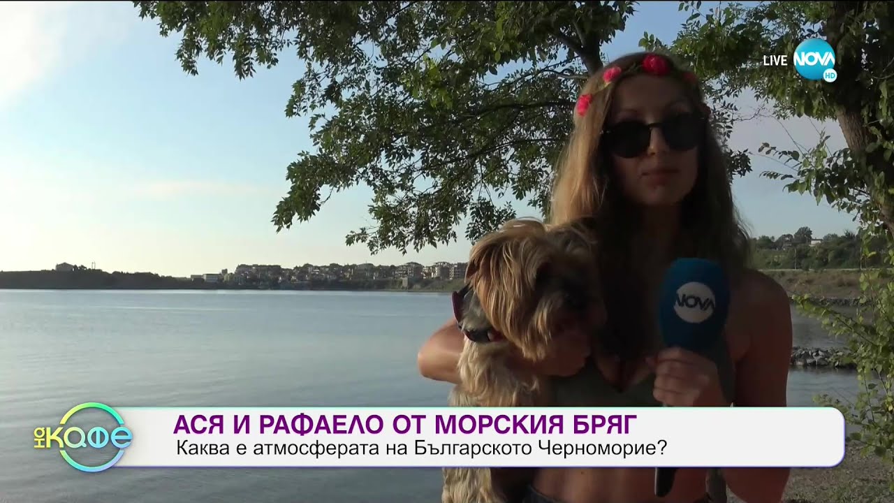 Полезни съвети за хората които отива с куче на море - „На кафе” (31.07.2020)