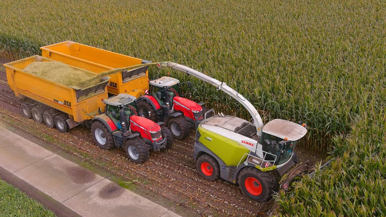 Mais 2021 : Vreba Dairy / BIG CF2500 USA Equipment / maish&auml;ckseln 2021 / Massey Ferguson /Jaguar 990
