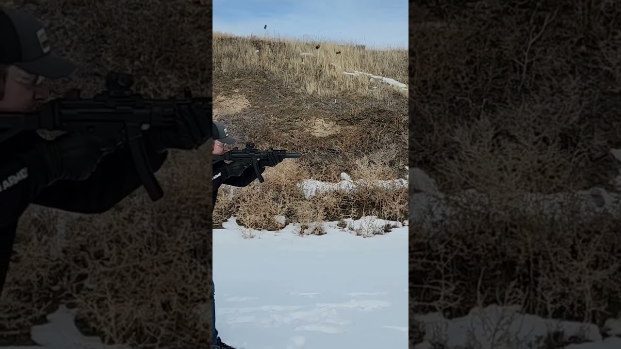 Zenith ZF-5T with Harrison Gunworks Lower and Super Safety