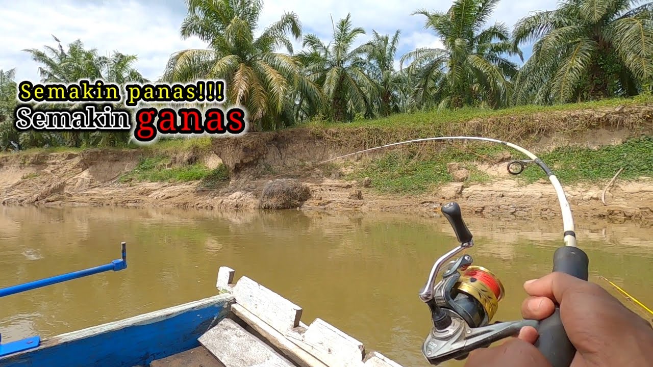 BERTUBI-TUBI! Seganas Inikah Mancing Ikan Baung Di Siang Hari