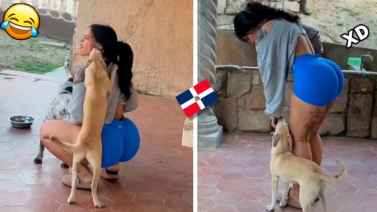 Cosas que SOLO PASAN en RD 😂 | QUE PERRO