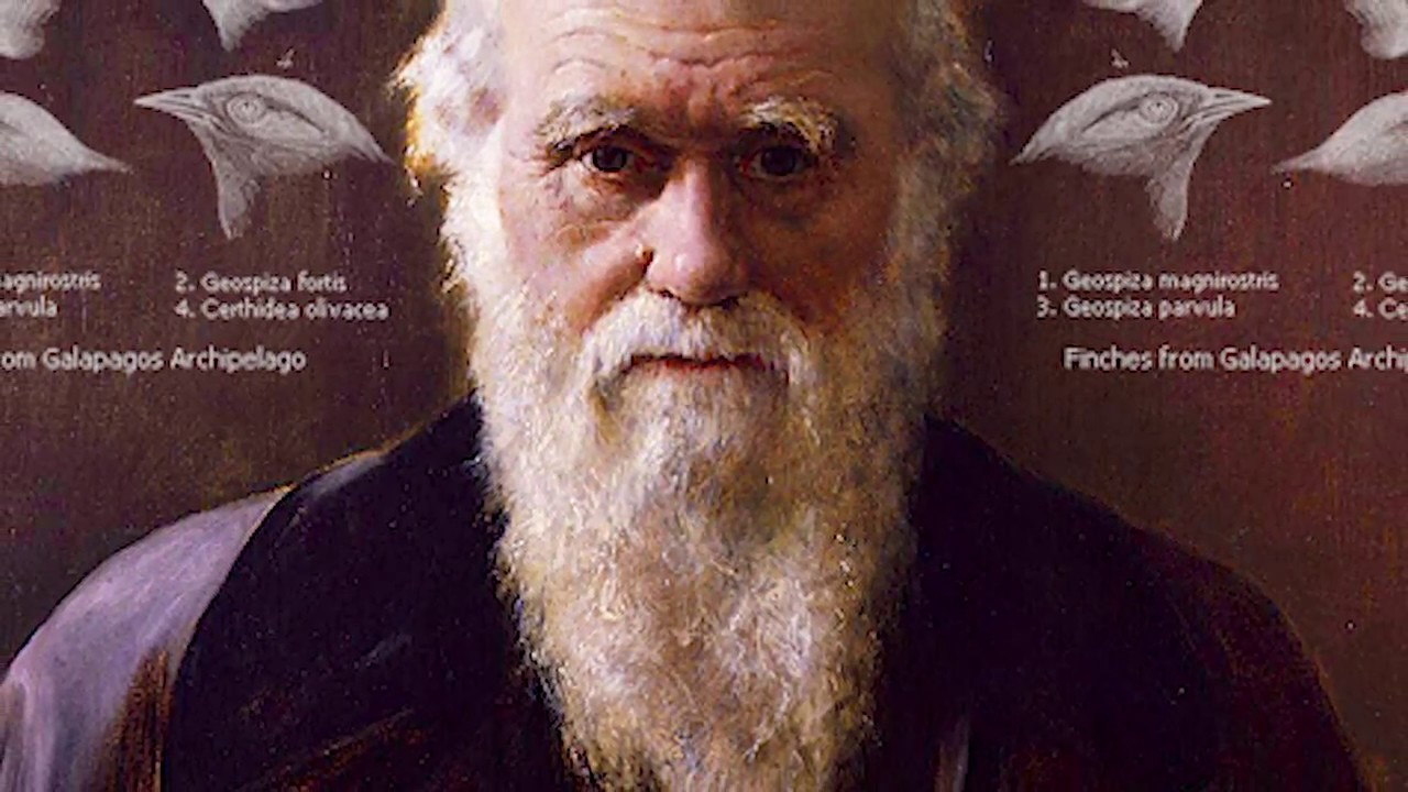 Evolution - Fact Not Fiction