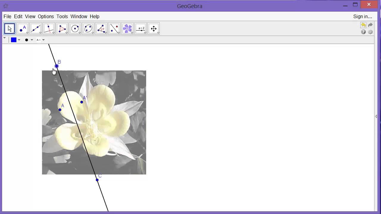 Exploring Symmetry with GeoGebra