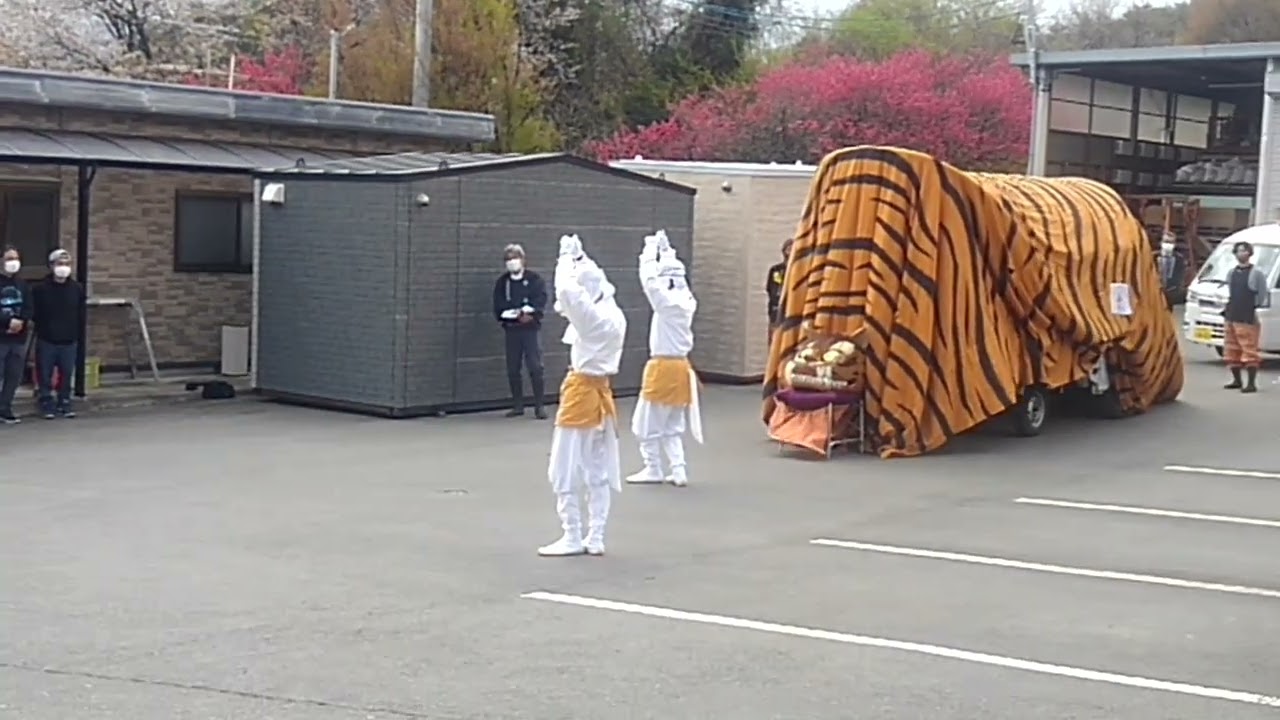 Fox Dance in Traditional Tiger Dance新田虎舞2022年4月門付け①狐踊り
