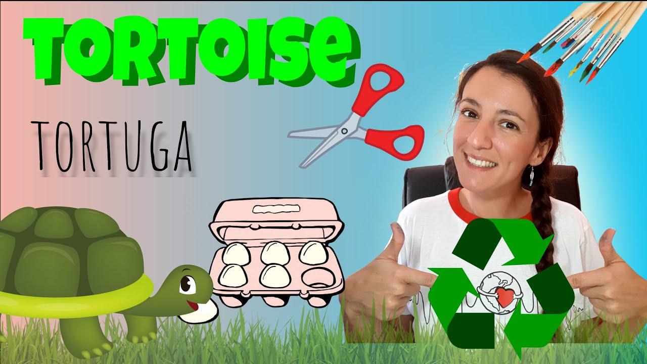 Tortuga reciclada - RECYCLED TORTOISE | Plástica en inglés - CRAFTS in English