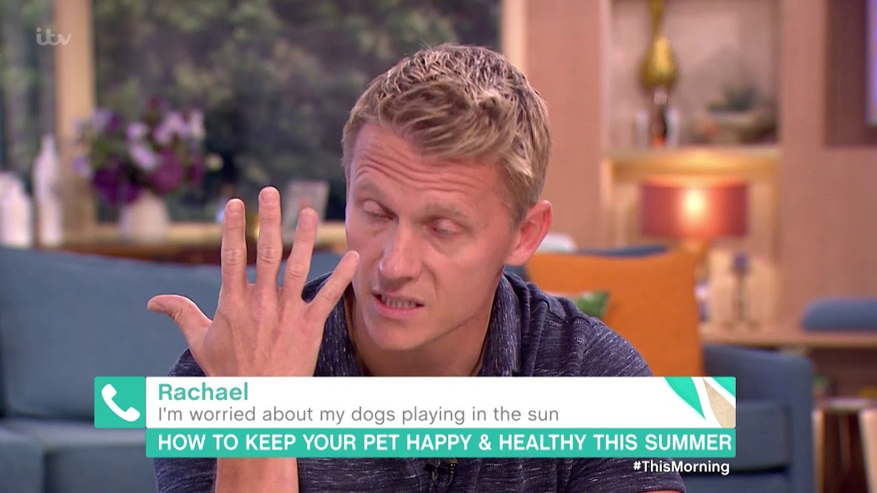 I'm Worried About My Dogs Playing in the Sun | This Morning