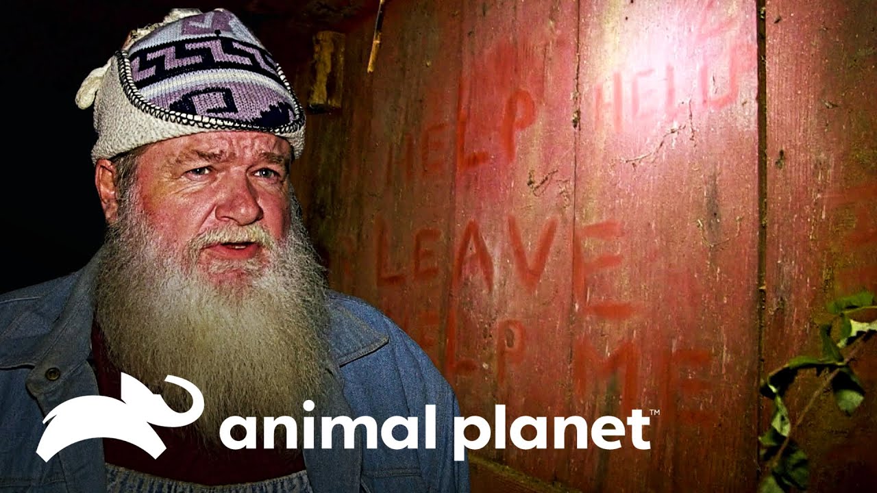 Buck e Huckleberry encontram uma cabana misteriosa | Animal Planet Brasil