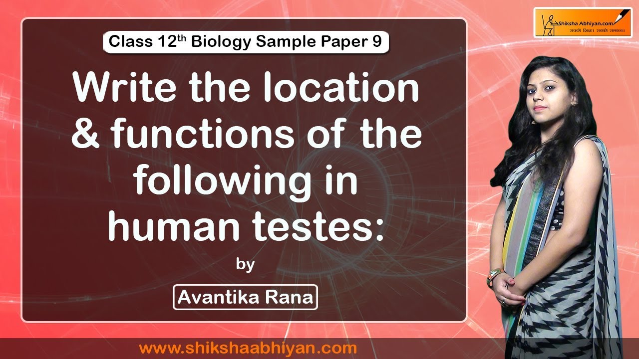Q35 Write the location and functions of the following in human testes: - #CBSE Class 12 Biology