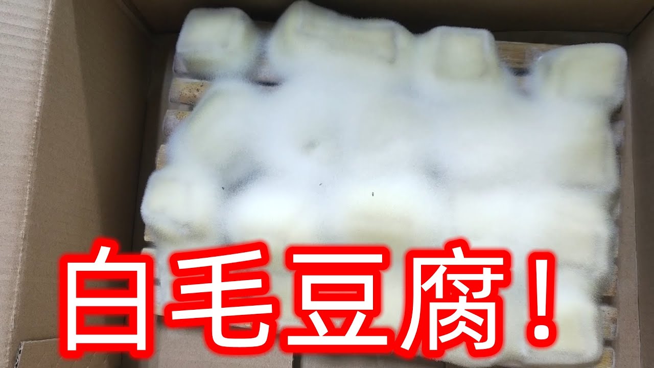 街边很火的长了白毛的豆腐，真的那么好吃吗？