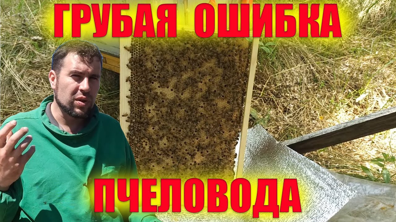 Не допустить роения. Вовремя подставлять вощину. Время расширения гнезд