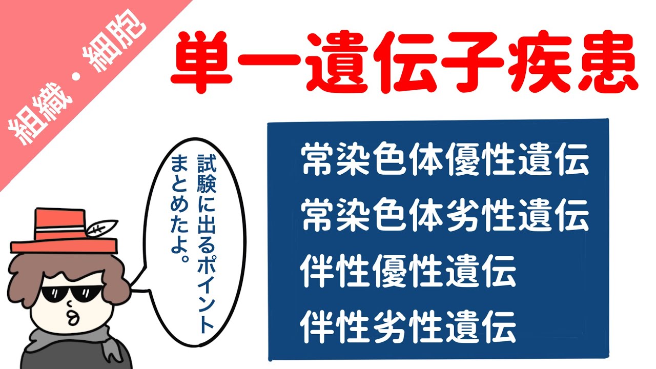 【国試対策】単一遺伝子疾患