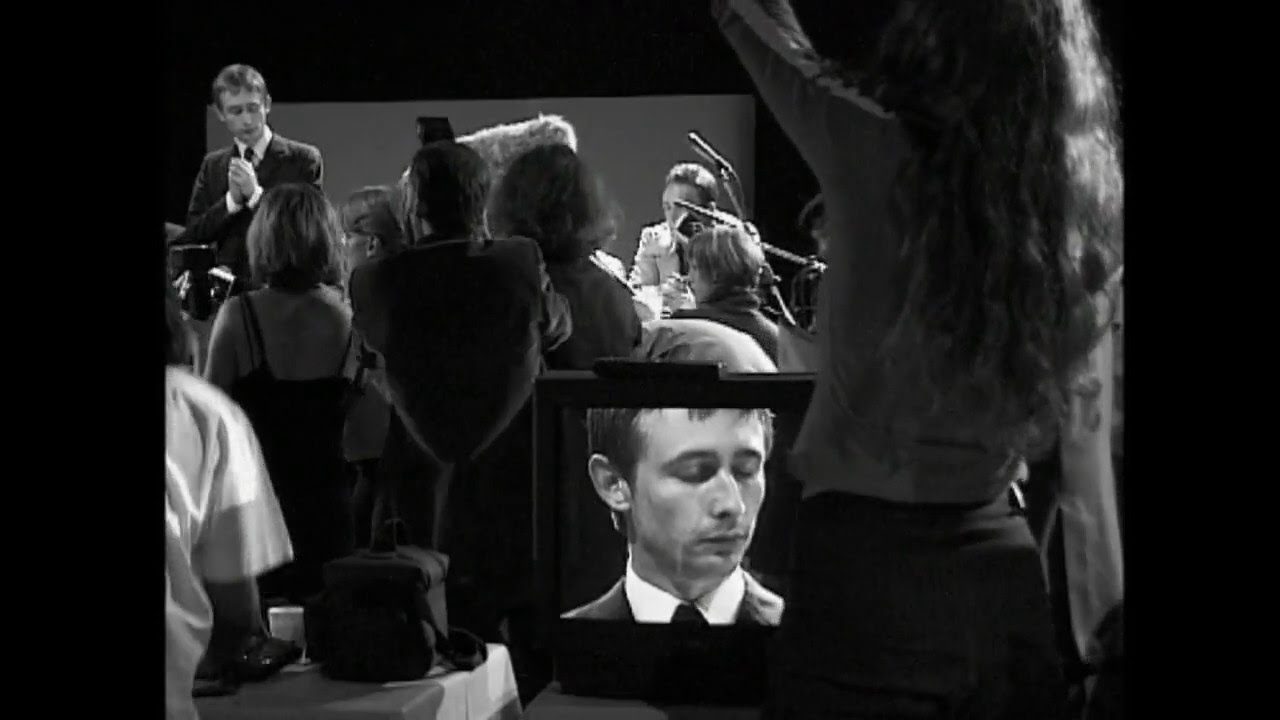 The Divine Comedy - The Certainty Of Chance