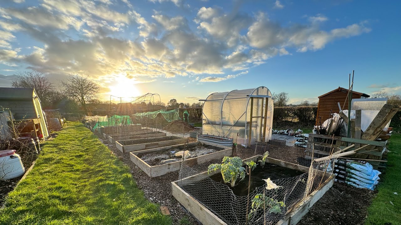 EP 55: Keeping Busy Despite The Rain And Let’s Do A Grow-Along! Plot no.9
