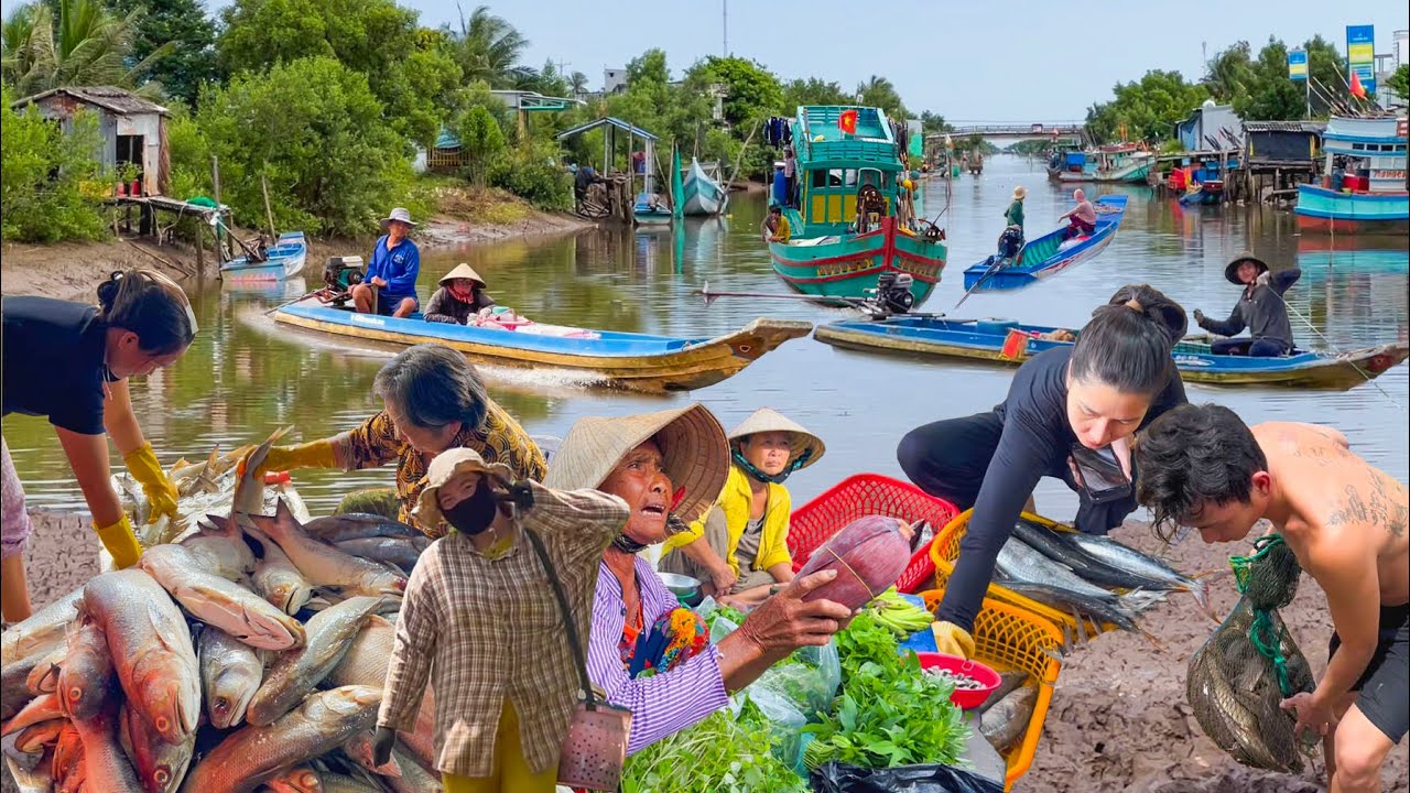 Nghề Cá Muối Mặn Vàm Cái Cùng Bạc Liêu║Mưu Sinh Xóm Nghèo Bên Bờ Biển
