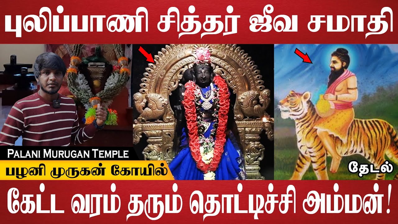 மர்மம் நிறைந்த புலிப்பாணி சித்தர் ஜீவ சமாதி! | pulipani siddhar jeeva samadhi | Palani Navapashanam
