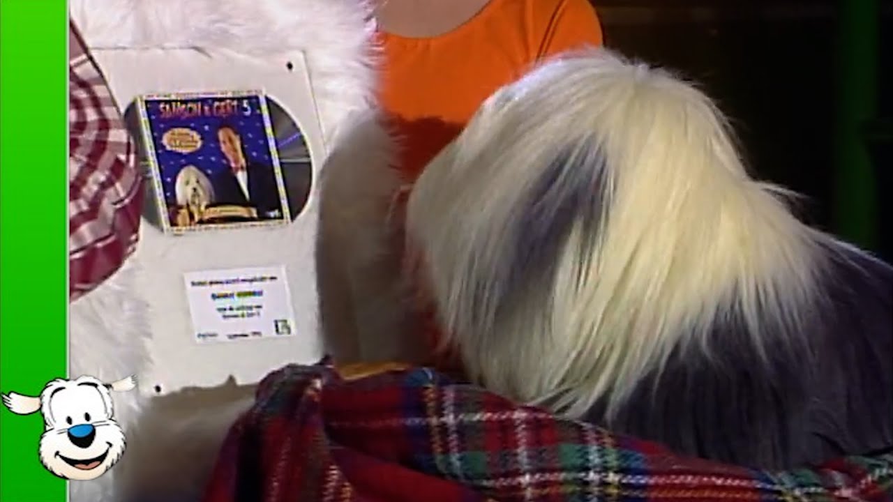 Samson & Gert - In de disco - De Muziekdoos + Uitreiking platinum award CD 5 (1995)