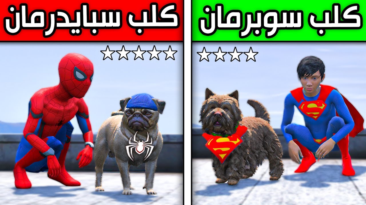 كلب سبايدرمان ضد كلب سوبرمان الخارق !! 😱🔥 | فلم قراند