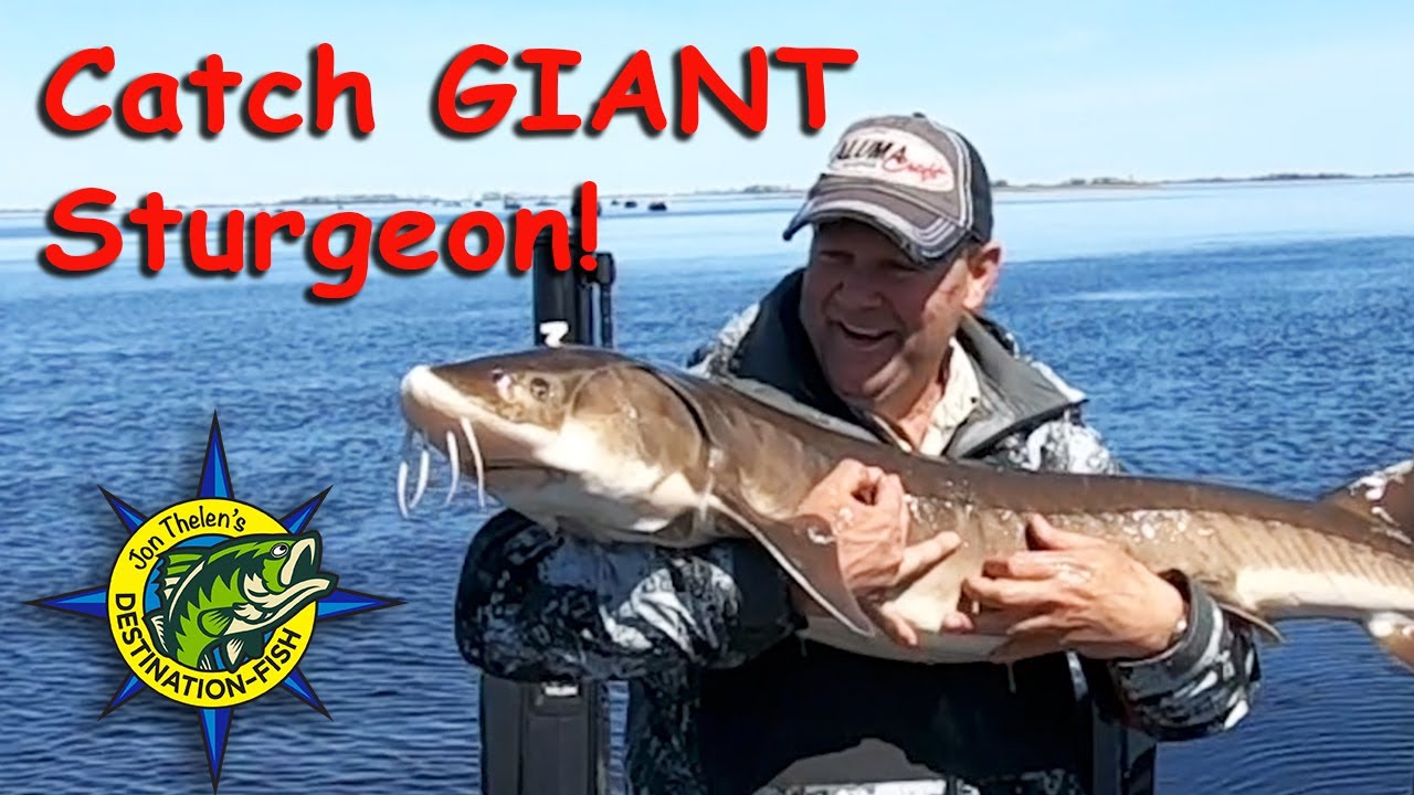 How To Catch GIANT Rainy River Sturgeon