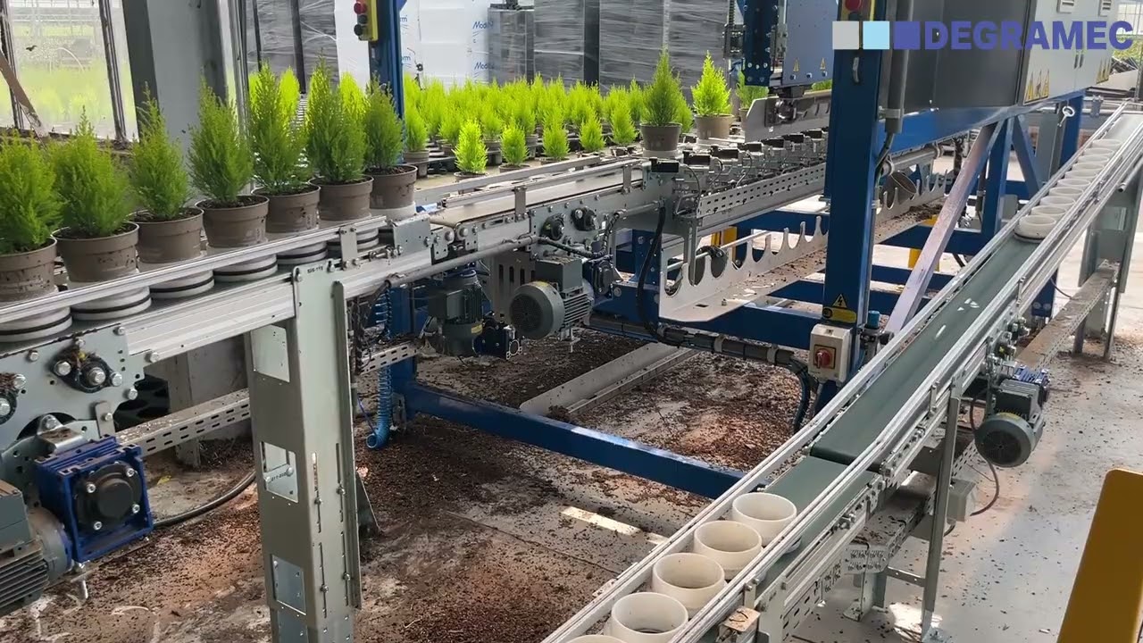 Hoe de nieuwe sorteerlijn onze kwekerij De Waele-Wilwoodii transformeert i.s.m. Degramec
