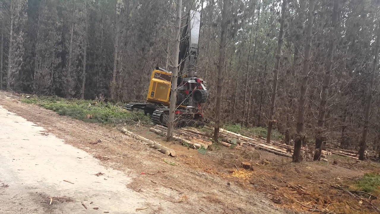 Tigercat 822C Logmax 6000B
