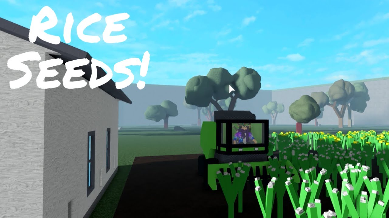 Farming Week | Day 1 | Rice Seeds!