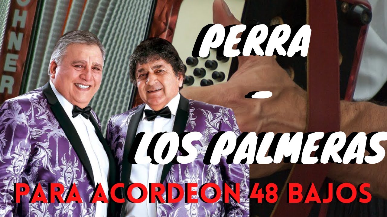 PERRA - LOS PALMERAS - TUTORIAL ACORDEON