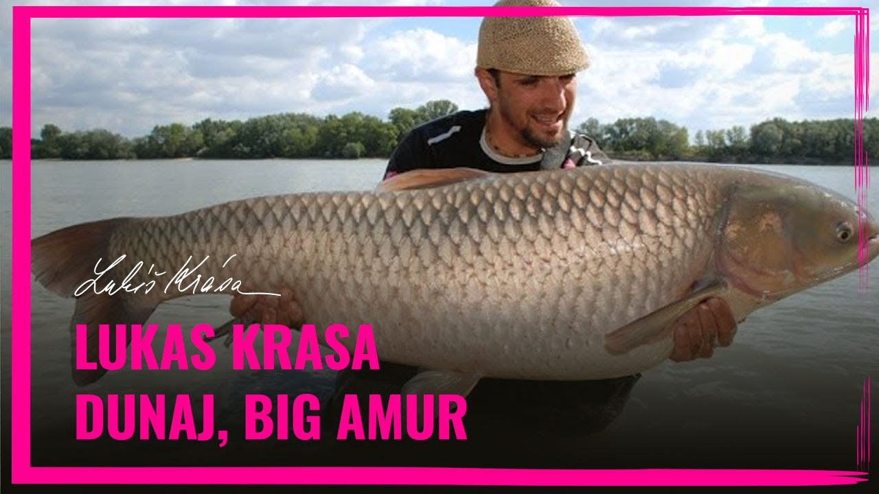 Lukas Krasa - Dunaj BIG AMUR