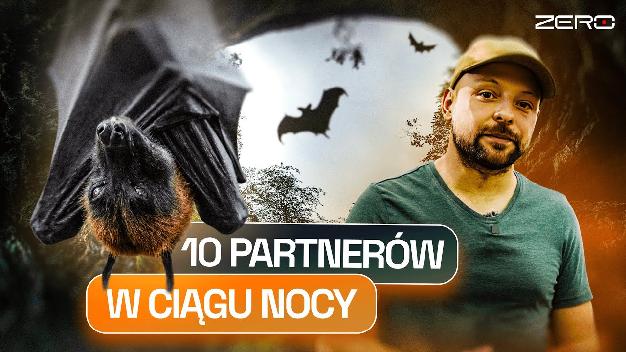 NIETOPERZE: CZY PRZENOSZĄ WŚCIEKLIZNĘ? CZY WPLĄTUJĄ SIĘ WE WŁOSY? | GATUNEK ZERO #69
