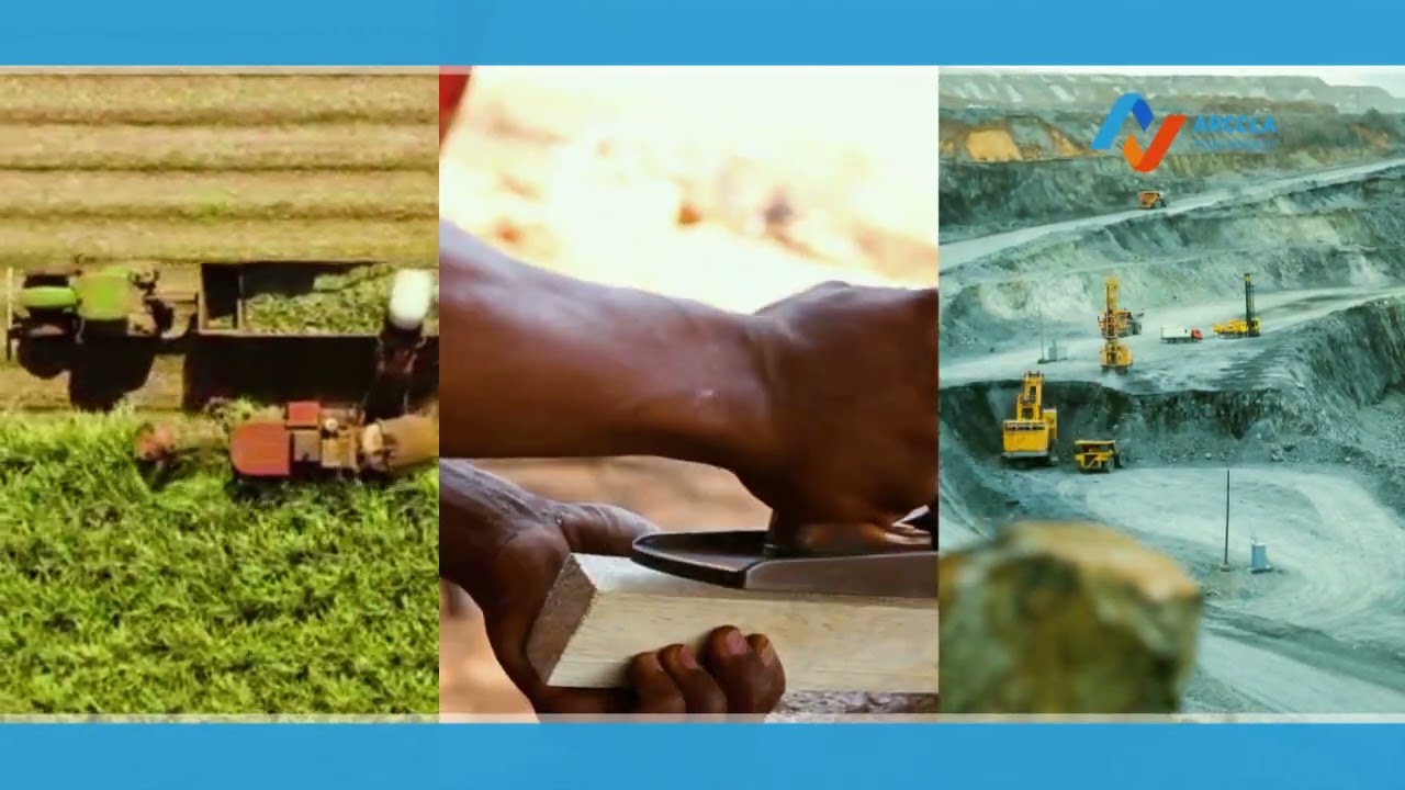 CONCURSO DA PLATAFORMA LOGÍSTICA DO LUAU-MOXICO