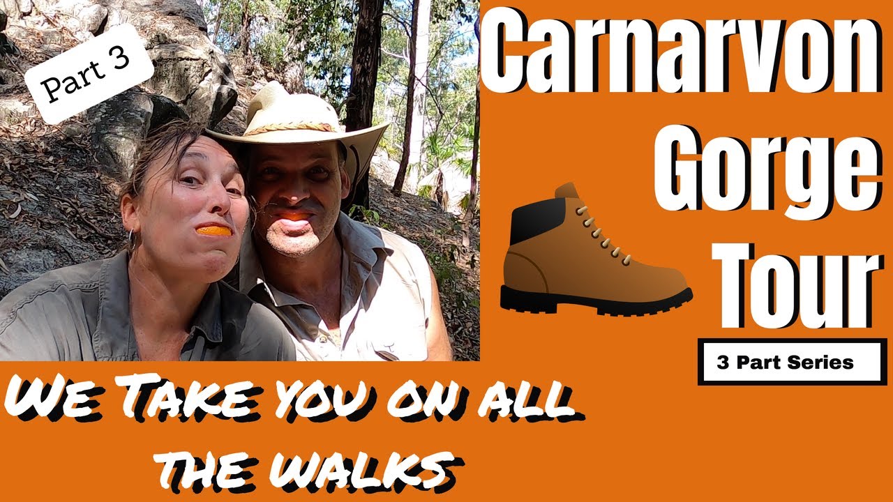 CARNARVON GORGE SERIES, QLD, PART 3: Our favourite spot, Karl's fish&chip & up the Bluff Vlog Ep.74