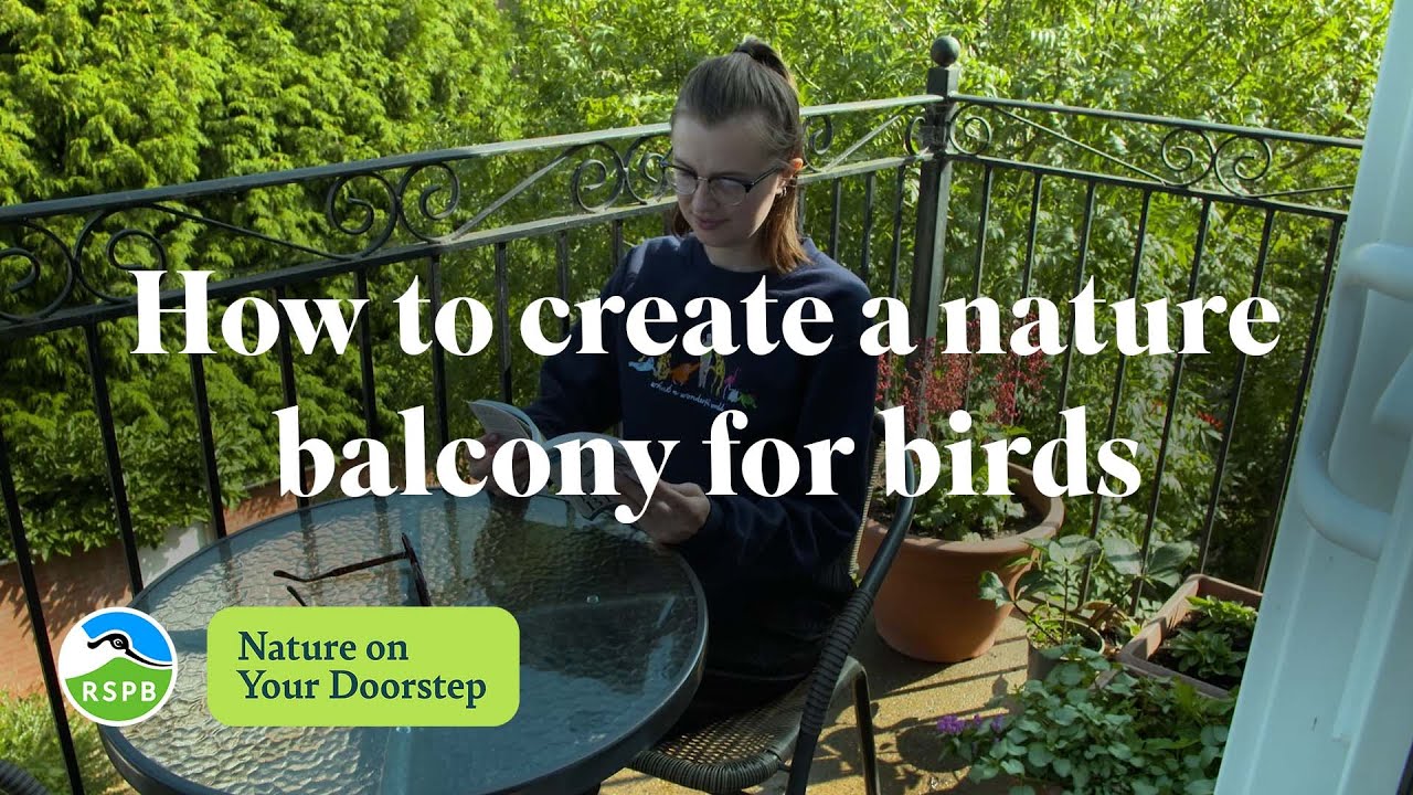 How to create a nature balcony for birds | RSPB Nature on Your Doorstep