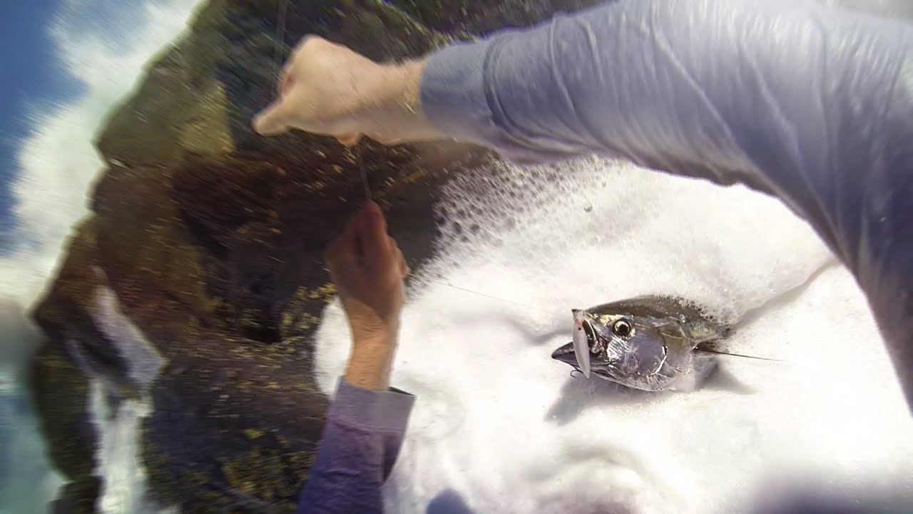 Washed off While Fishing - Don't Try This At Home