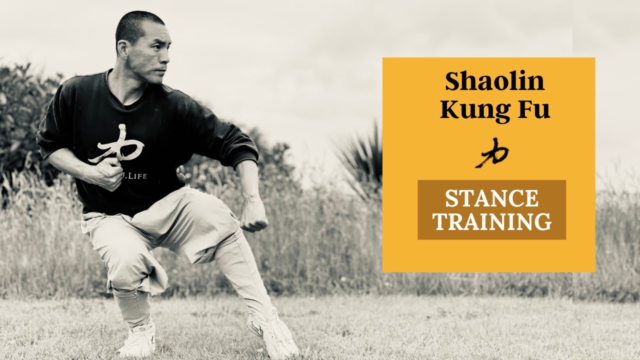 Kung Fu Stances Training - Strength, Transition Speed & Power