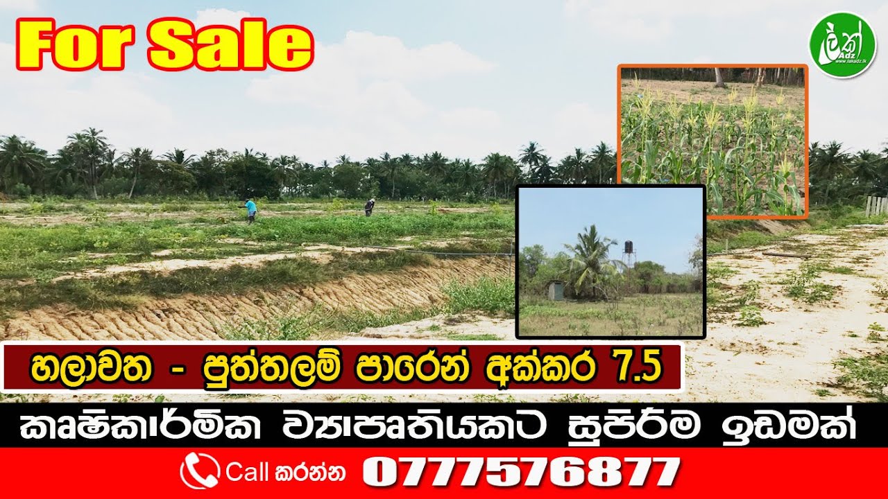 7.5 acres of plain land for sale in Chilaw - Contact: 0777576877 - LAK ADS