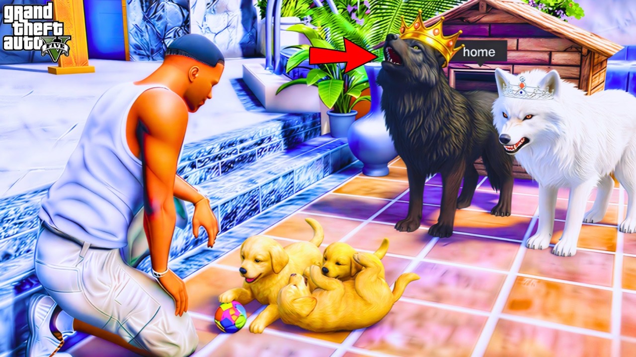 Franklin RARE WOLF Fight Wild Dogs in Los Santos | Gta 5🐯