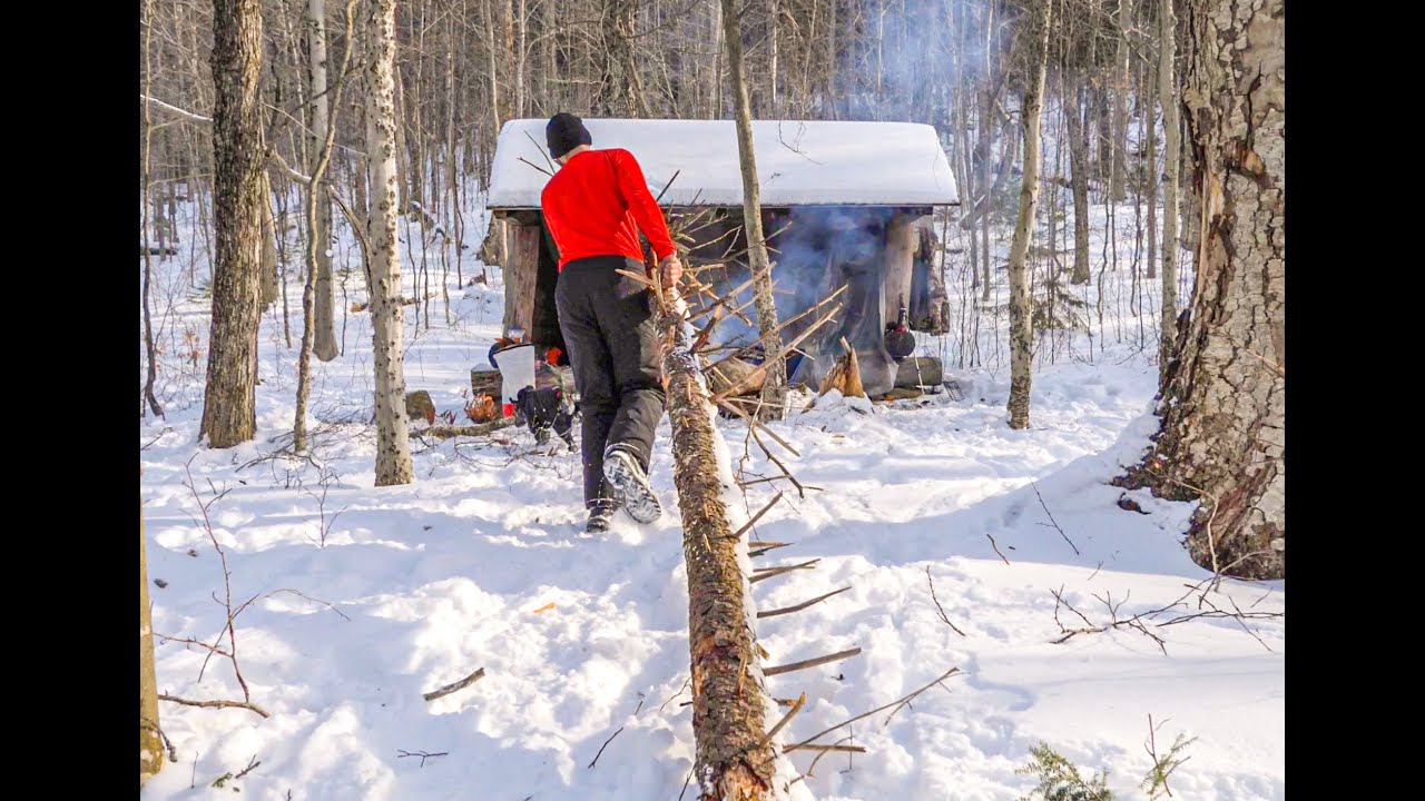 Two Snowy Nights Lean-to Camping in the Mountains in Winter