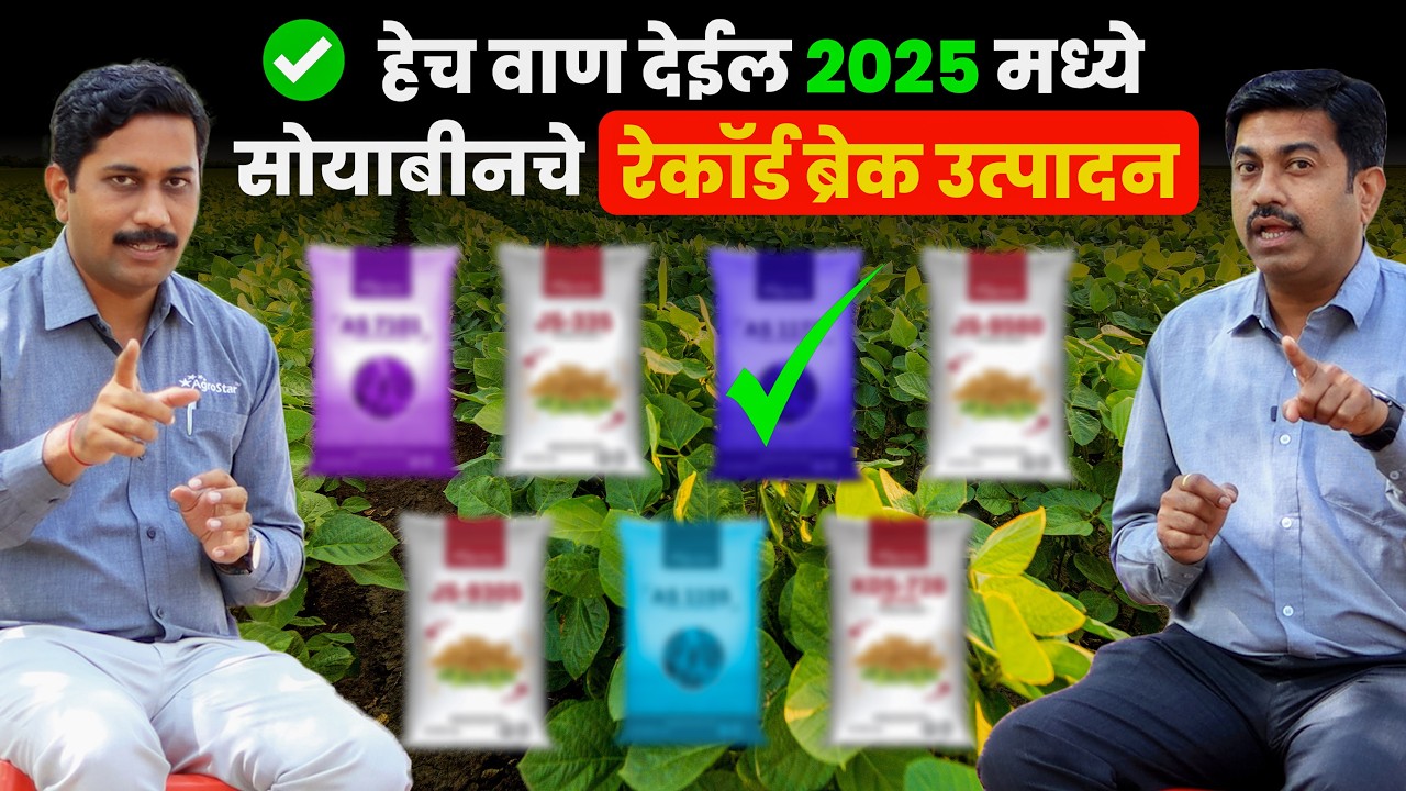 2025 मधील सोयाबीन बियाणे | Soybean top variety | सोयाबीन लागवड संपूर्ण माहिती | AgroStar #soybean