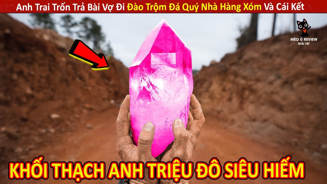 Anh Trai Trốn Vợ Đi Đào Trộm Đá Quý Nhà Hàng Xóm Và Cái Kết || Review Giải Trí Đời Sống