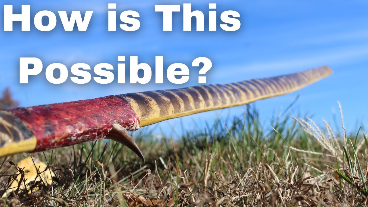 Building a Bow Like You've NEVER Seen