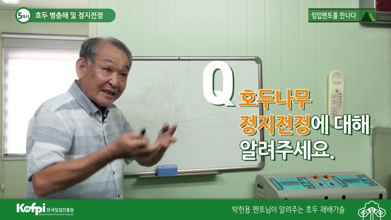 [호두5] 호두 병충해 및 정지전정