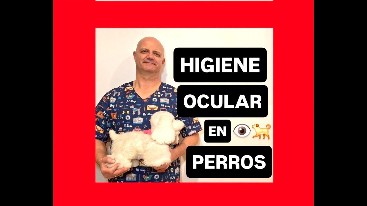 Importancia de la higiene ocular en perros
