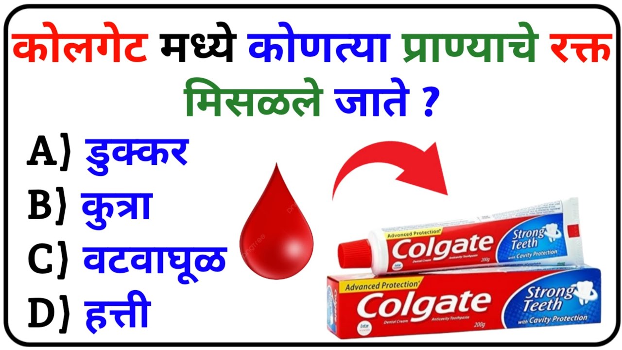 जनरल नॉलेज प्रश्न | जनरल नॉलेज प्रश्न मराठी | Marathi G.K Question And Answer | General Knowledge